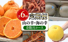 ＜定期便・全6回(奇数月)＞阿久根市の山の幸・海の幸(ぼんたん・不知火・タカエビ・メロン・伊勢海老など)国産 柑橘 みかん フルーツ 果物 魚介 頒布会【松永青果】akn053-37