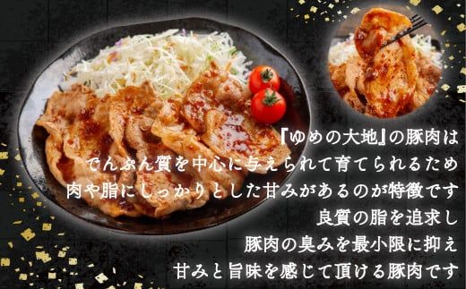 【12/20まで年内発送】【平取町産四元豚】ゆめの大地豚ローススライス200g×10パック計2ｋｇ ふるさと納税 人気 おすすめ ランキング 豚肉 肉 ロース 北海道 平取町 送料無料 BRTD004