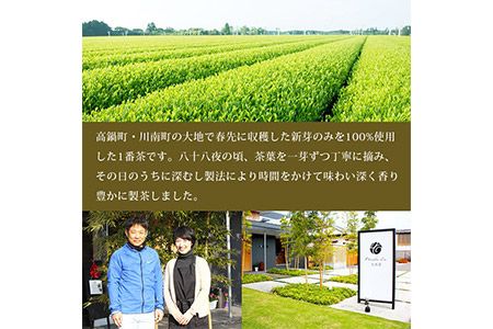 ＜The FIRST GREEN TEA(ザ・ファーストグリーンティー)＞翌月末迄に順次出荷【c541_oo_x2】