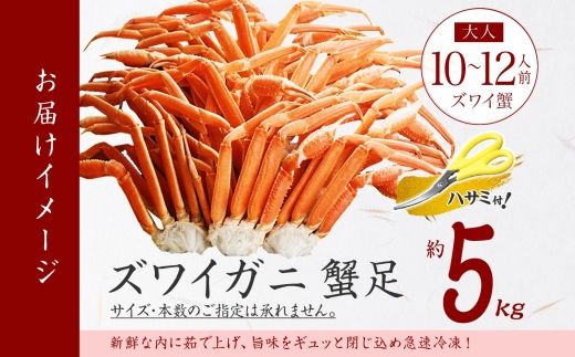 3376.  ボイルズワイガニ足 5kg 約10-12人前 食べ方ガイド・専用ハサミ付 カニ かに 蟹 送料無料 期間限定 数量限定 北海道 弟子屈町