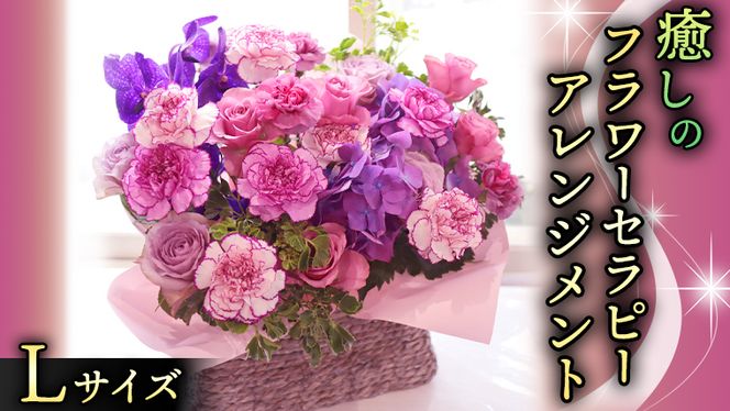 y錧}sz  t[ Zs[ AWg LTCY   ͂ AW bNX tbV XgX [CT126ci]