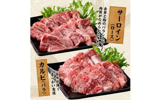 宮崎牛 焼肉 食べ比べ 3種盛 300g【 肉 牛肉 国産 宮崎県産 黒毛和牛 和牛 焼肉 バーベキュー 】[D11416]