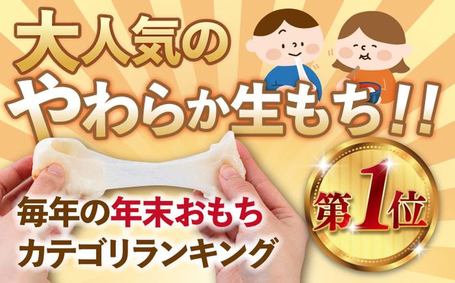 築上町産 本格 杵つき 生もち 60個 (10個×6パック)《築上町》【アルク農業サービス合同会社】 餅 お餅 もち [ABAB001]