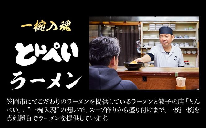 とんぺいの生ラーメン 5食入り スープ・チャーシュー・メンマ付 とんぺい《30営業日以内に出荷予定(土日祝除く)》岡山県 笠岡市 ラーメン 生ラーメン 生麺 スープ チャーシュー メンマ 鶏ガラ白湯スープ 鶏ガラスープ---A-234---