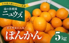 【先行予約受付中】産地直送！愛媛県産ぽんかん 5kg ※2025年1月上旬～1月下旬頃に順次発送予定 ≪柑橘 みかん ギフト≫