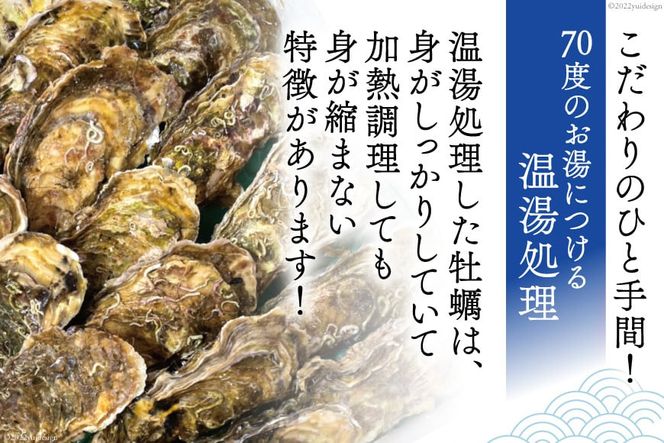 CF01】【TVで紹介！】 牡蠣 大粒 3～4年モノ 生食 殻付き牡蠣 約3kg(約