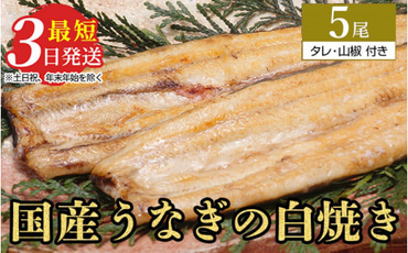 うなぎ白焼き　5尾（120g以上×5尾） | メディアに紹介されたうなぎ屋 国産 冷蔵 うなぎ 鰻 ウナギ タレ・山椒つき しら焼き ※離島への配送不可