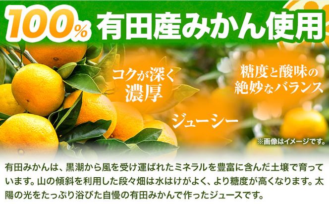 みかん ジュース 和歌山 有田産 100% 温州 みかん ジュース