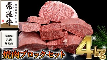 【 常陸牛 】 焼肉 ブロック セット 4kg ( 茨城県共通返礼品 ) 国産 焼き肉 サーロイン カルビ バラ バーベキュー BBQ お肉 ブランド牛[BM050us]
