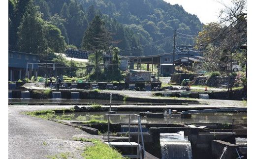 C16須川フィッシングパーク 釣り券