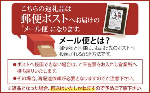 辛子高菜 240g×1パック 山賊の高菜 からし高菜 メール便 ポッキリ お米に合う ご飯のお供 おつまみ 国産 無添加 お取り寄せ 福岡 お土産 九州 グルメ 福岡県