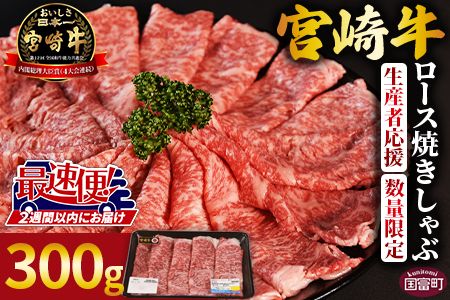 生産者応援 期間限定 数量限定 [宮崎牛ロース焼きしゃぶ 1パック]2週間以内に発送[ 国産 黒毛和牛 牛肉 牛 精肉 ローススライス スライス 4等級以上 ブランド牛 赤身 旨味 贈答品 ギフト 贈り物 化粧箱 グルメ ミヤチク 宮崎県 国富町 ][b0745_my]