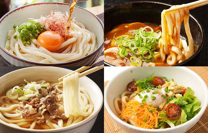 005A196 麺名人 なにわうどん（5食×3パックセット）【冷凍うどん 簡単調理 麺 一人暮らし】