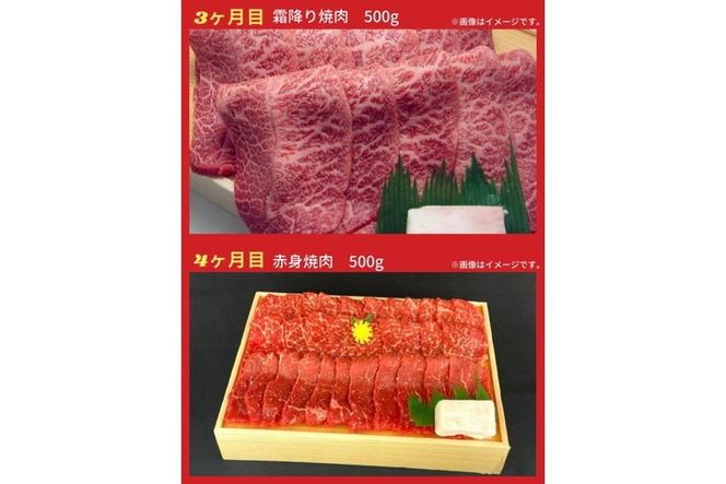 【6回定期便】亀岡牛 6ヶ月 お楽しみセット【計2.8kg】＜亀岡牛専門 木曽精肉店＞≪和牛 牛肉≫