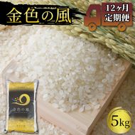 米 定期便 5kg 12ヶ月 精米 一等米 金色の風 岩手県産 ご飯 白米  [56500582_1]