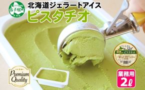 2351. くりーむ童話 アイスクリーム ピスタチオ 2L アイス スイーツ 牛乳 ミルク 贈り物 gift ギフト プレゼント 詰め合わせ 送料無料 北海道 弟子屈町