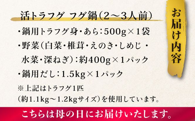 【母の日にお届け！】【長崎県産】トラフグフグ刺し・フグ鍋セット（2～3人前） / ふぐ 刺身 鍋 南島原市 / ながいけ[SCH071]