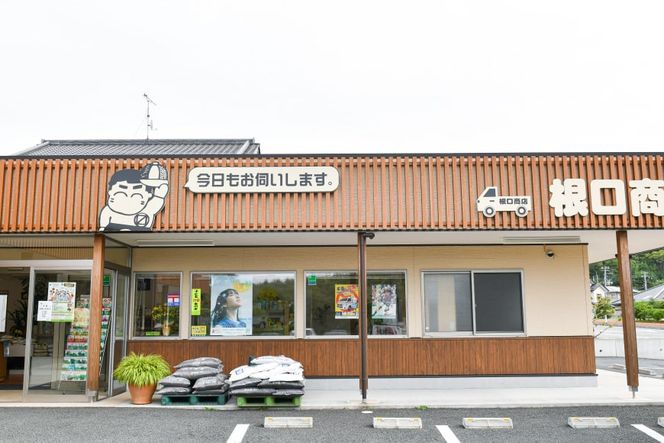 宮城のおこめ食べくらべセット ひとめぼれ & ササニシキ 各5kg 総計 10kg [根口商店 宮城県 気仙沼市 20565030] 米 お米 白米 精米 三陸産 宮城県産 ブランド米 ご飯 ごはん コメ こめ 小分け