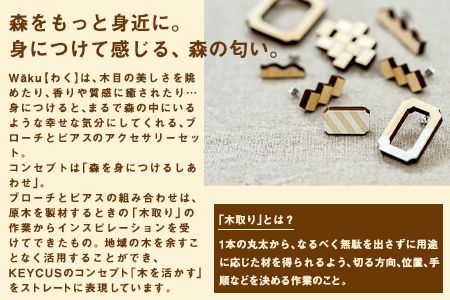 熊本県 御船町 Waku（わく）ひかり ブローチ ピアス KEYCUSプロジェクト事務局 國武林業《30日以内に出荷予定(土日祝除く)》---sm_kunihika_30d_23_18000_bp---