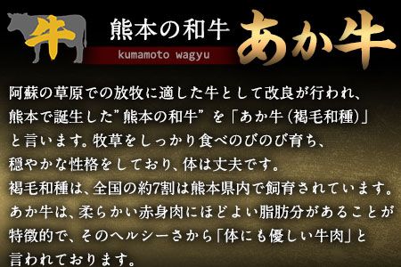 あか牛 赤身ステーキ用 1kg (250g×4) 有限会社幸路《60日以内に出荷予定(土日祝を除く)》 あか牛 あかうし 赤牛 赤身 冷凍 小分けパック---so_fhakakas4_60d_24_34000_1kg---