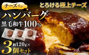 黒毛和牛100%チーズインハンバーグ(約120g×3Pセット)【魚住商店】_HA1547