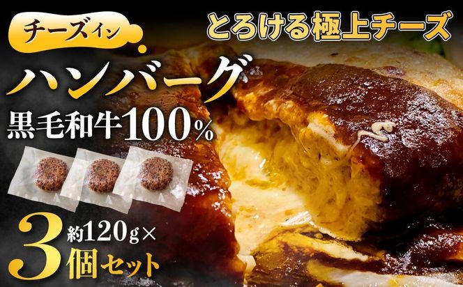 黒毛和牛100%チーズインハンバーグ(約120g×3Pセット)【魚住商店】_HA1547
