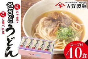 さっとできてさっと食べられる ささっとうどん 20入 【麺 うどん 佐賀県産 簡単】(H014113)