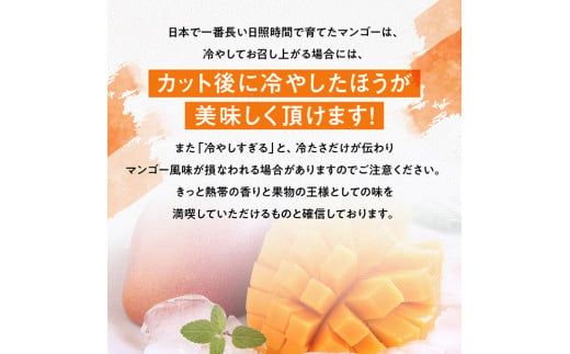 【令和8年発送】宮崎県産完熟マンゴー　三國農園　完熟マンゴー3L×2玉 【 果物 フルーツ マンゴー 宮崎県産 完熟マンゴー みやざきマンゴー 】 [C08302]