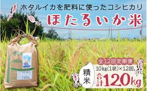 【訳あり】ほたるいか米（精米10kg）×12回 計120kg【12ヶ月定期便】