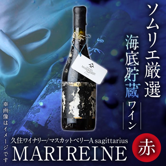 海底貯蔵ワイン 赤 MARIREINE マスカットベリーA sagittarius2022(720ml・1本)[FP021][フルタ酒店]