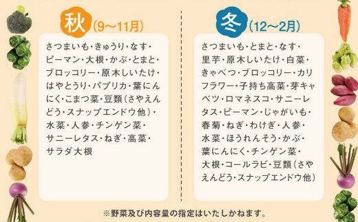 定期便 年4回 野菜セット 旬 1回あたり10品 詰め合わせ 春夏秋冬 野菜 旬 おまかせ 新鮮 やさい レシピ付き 高知県 室戸市 故郷納税 送料無料　rk015!