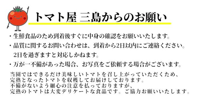 この道40年の農家から直送 完熟！桃太郎トマト15～24玉　H139-020