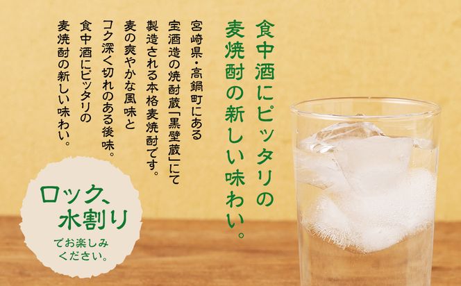 ＜宝酒造・本格焼酎「よかいち」(麦)25度 900ml 紙パック3本セット＞翌月末迄に順次出荷【c1109_kt】