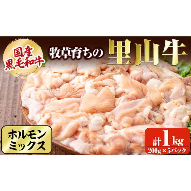 yuzuszYјa q炿̗R z~bNX v1kg a9-023