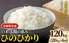 【令和6年産 予約受付】白米 岡山県産 ひのひかり 笠岡産 120kg(20kg×6回)《10月下旬-9月下旬頃出荷》農事組合法人奥山営農組合 太陽の恵み---O-06_120k_白米---