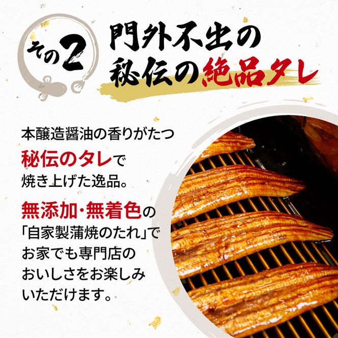 定期便 全3回 うなぎ 国産 蒲焼 160g × 2尾 計320g 鰻蒲焼 ウナギ 土用 丑の日  JAS認定 活鰻 自家製蒲焼のたれ 山椒 ギフト 贈答 冷凍 養殖 真空パック レンジ 調理 湯煎 まとめ買い 静岡県 藤枝 [PT0073-010000]
