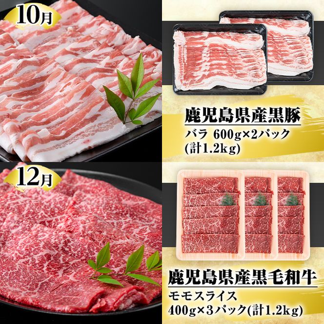 ＜定期便・全6回(偶数月)＞鹿児島県産黒毛和牛・黒豚定期便(総量約5.2kg)国産 九州産 鹿児島産 牛肉 国産牛 豚肉 サーロイン ステーキ 切り落とし 切落し カルビ 焼肉 焼き肉 焼肉セット 黒豚 バラ肉 すき焼き しゃぶしゃぶ 頒布会【スターゼン】akn042-28