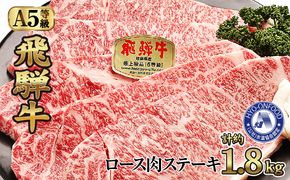 ロース肉ステーキ 10枚（約1800g）　氷温(R)熟成　飛騨牛Ａ５等級 リキッドフリーズ [No.539]