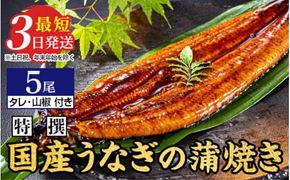 国産のうなぎ蒲焼き5尾【最短3日発送】国産のブランド鰻を茨城県土浦市の職人が手間を惜しまず一つ一つ丁寧に作り上げた美味しい蒲焼きをぜひご賞味ください！ ※離島への配送不可