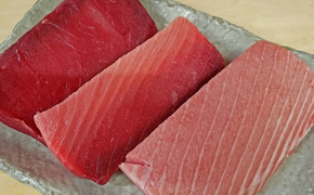 b500-010　【定期便6回】天然南鮪・大トロ・中トロ・赤身(約1.4kg)