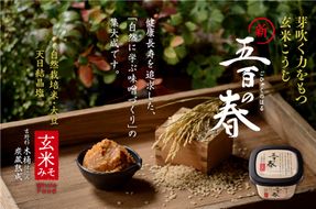 五百の春（玄米味噌）750g【まるみ麹本店】013-001