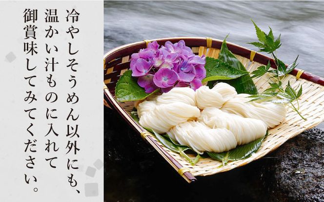 【定期便 年6回】手延べ そうめん 3kg （50g×60束） / 素麺 麺 / 南島原市 / 池田製麺工房 [SDA043]