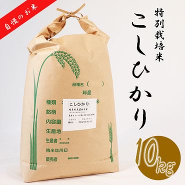 BI-17 【特別栽培米】垂井町産コシヒカリ10kg