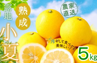 熟成　露地小夏　５ｋｇ　me002