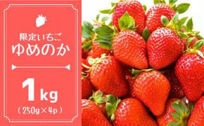 【2026年1月〜発送】【限定 いちご】 ゆめのか  1kg（250g×4p）イチゴ 苺 フルーツ 南島原市 / 長崎県農産品流通合同会社 [SCB040]