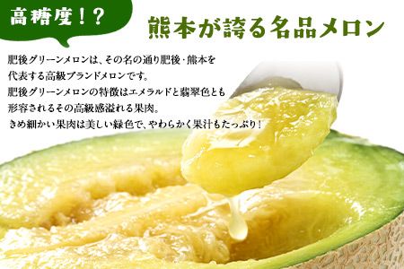 【先行予約】「ミヤザキファーム」 肥後グリーンメロン2玉 熊本県氷川町産《6月中旬-6月末頃出荷》---sh_miyameron_j6_r7_15000_2t---