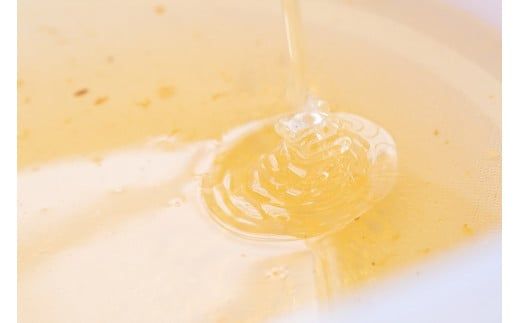 A072 郷のはちみつ定期お届け便 130gを3個ずつ年12回お届け