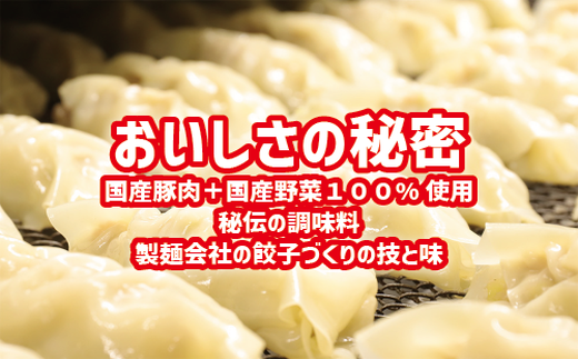 ジャンボ餃子5粒入りタレ付10個セット｜惣菜 おかず 石川製麺 ※北海道・沖縄・離島への配送不可