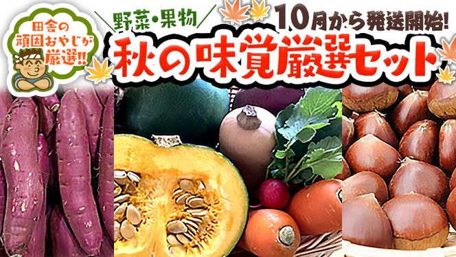 秋の味覚（ 野菜 ・ 果物 ） 厳選セット 【 令和6年10月より発送開始 】 田舎の頑固おやじが厳選 ！ [BI199-NT]