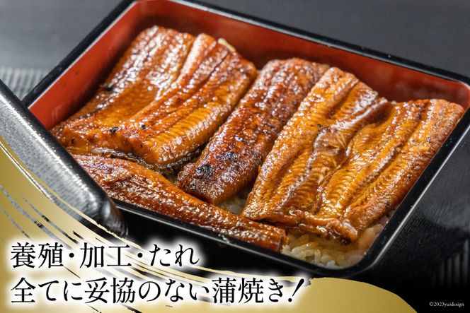 うなぎ 国産 静岡 うなぎ蒲焼 カット 80g ×6 計480g [静岡鰻販売 静岡